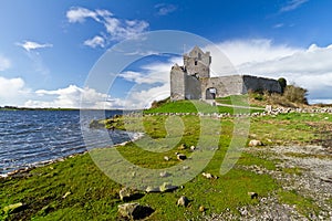 Dunguaire castle at the ocean bay photo