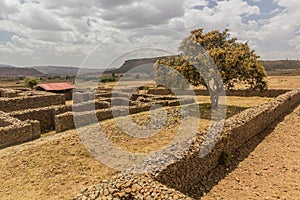 Dungur (Queen of Sheba) Palace ruins in Axum, Ethiop