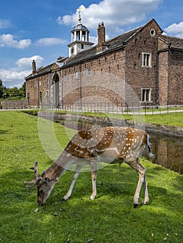 Dunham Massey - Northwest England photo