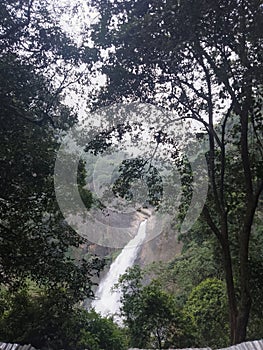 Dunhinda water fall -Badulla