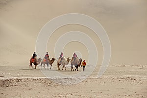 DUNHUANG,CHINA-MARCH 11 2016: Group of tourists are riding camel at the sand mountain Mingsha Shan desert the singing sand dunes