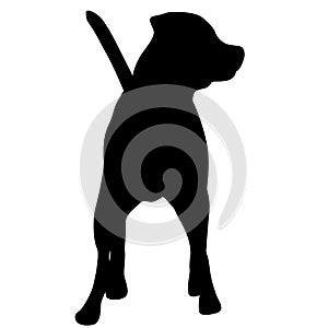 Dunker dog black silhouette on white background