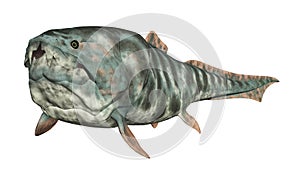 Dunkleosteus