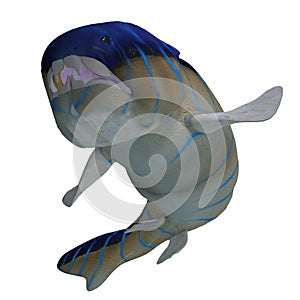 Dunkleosteus Fish Teeth