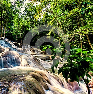 Dunn`s River Falls in Jamaica