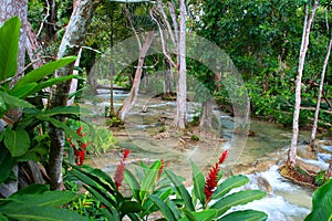 Dunn's River Falls, Ocho Rios, Jamaica photo