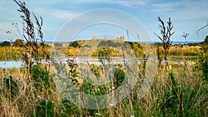 Dunstanburgh Castle beyond Embleton Quarry Nature Reserve