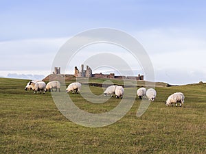 Dunstanburgh Castle on the Northumberland coast with copy space