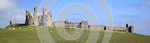 Dunstanburgh castle northumberland coast uk