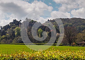 Dunster Castle Landscape, Somerset, England