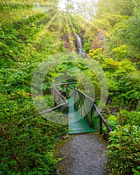 Idyllic garden in Dunvegan Castle in the Isle of Skye, Scotland. photo