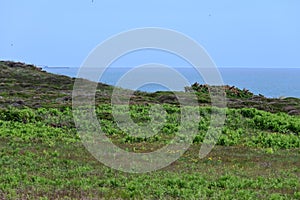 Dunwich Heath, Suffolk, England, UK