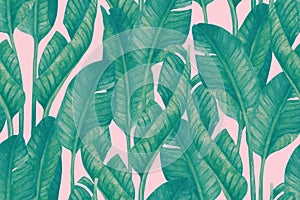 Duo tone colored banana leaves seamless pattern. Tropical leaf sketch