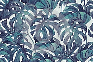 Duo tone colored monstera leaves seamless pattern. Tropical leaf sketch