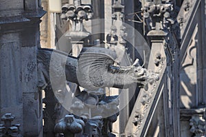 Duomo di Milano (Milan Cathedral