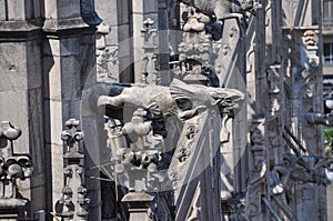 Duomo di Milano (Milan Cathedral