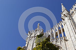 Duomo di Milano sullo sfondo del cielo e delle palme in estate photo