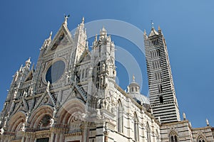 duomo di siena