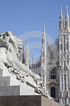 Duomo & lion