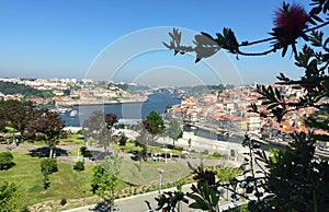 Duoro River Porto Portugal Louie Bridge view