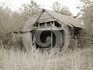 Duotone barn in field in Georgia USA photo