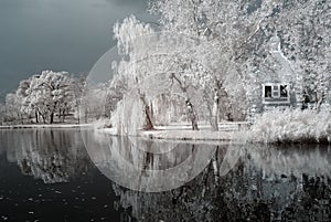 Duotone infrared lake