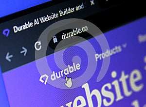 durable ai website builder