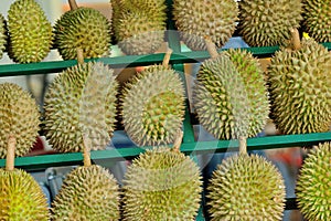 Durain Fruit Display