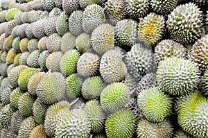 Durain Fruit Display to Sell