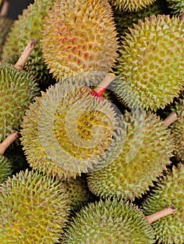 Durain Fruit Display