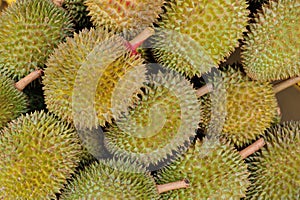 Durain Fruit Display