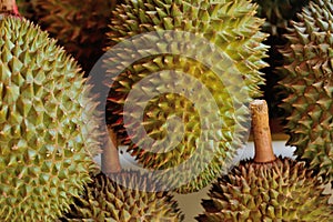 Durain Fruit Display