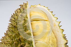 Durain fruit on white background