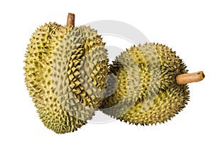 Durain fruit on white background