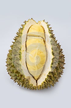 Durain fruit on white background