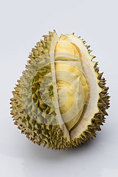 Durain fruit on white background