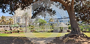 Durban Beachfront Gardens