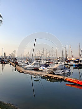 Durban South Africa Marina