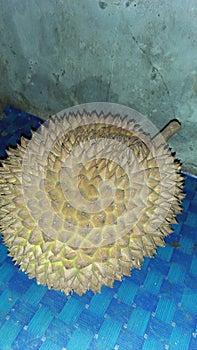 DUREN