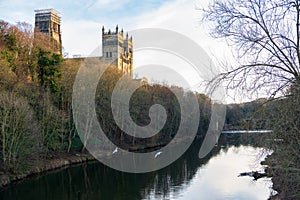 Durham Castle and Cathedral and flying gulls over the River Wear, England, UK