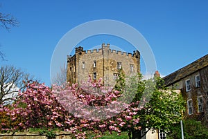 Durham Castle Keep