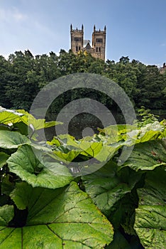 Durham Cathedral -England UK