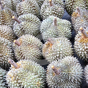 Durian fruit background