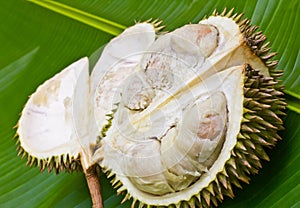 Durian.