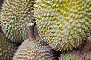 Durian