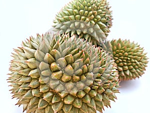 Durian background isolated white