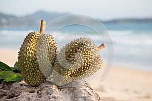 Durian on the beach