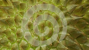 Durian cover or skin