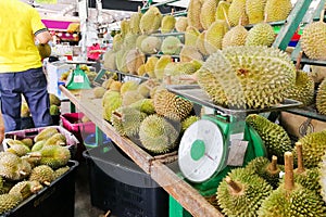 Durian displayed and sold in Malaysa stall including musang king