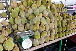 Durian displayed and sold in Malaysa stall including musang king photo
